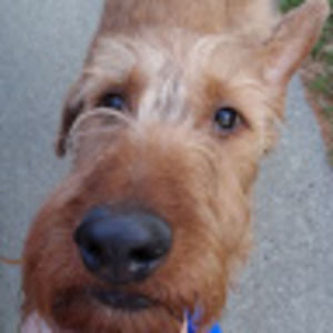 Meet your Posher, Janet